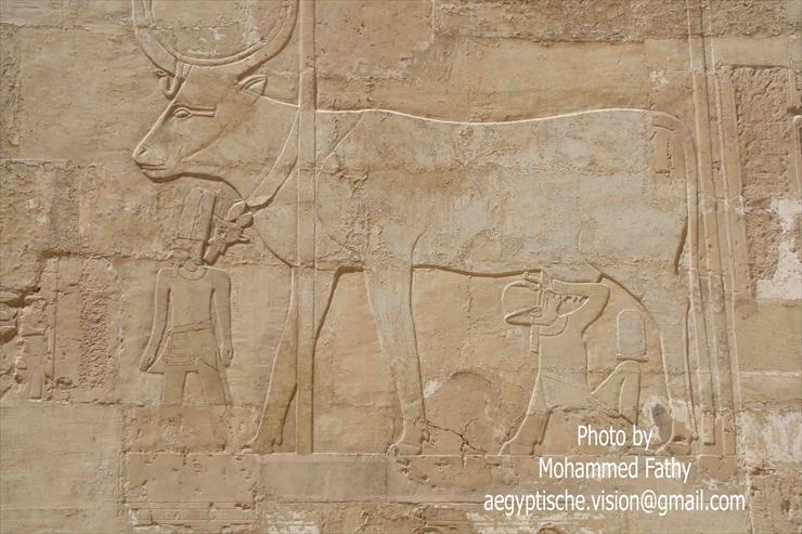 Świątynia w Hatshepsut - Świątynia w Hatshepsut 15.jpg