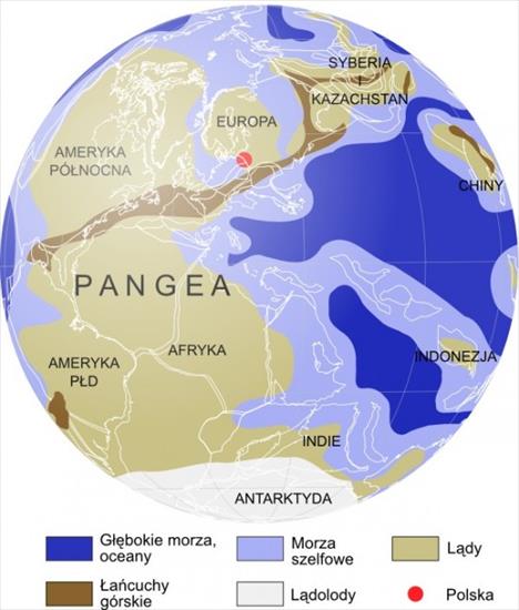 Paleogeografia - Mapa-perm-260-mln-lat-600px-550x645.jpg