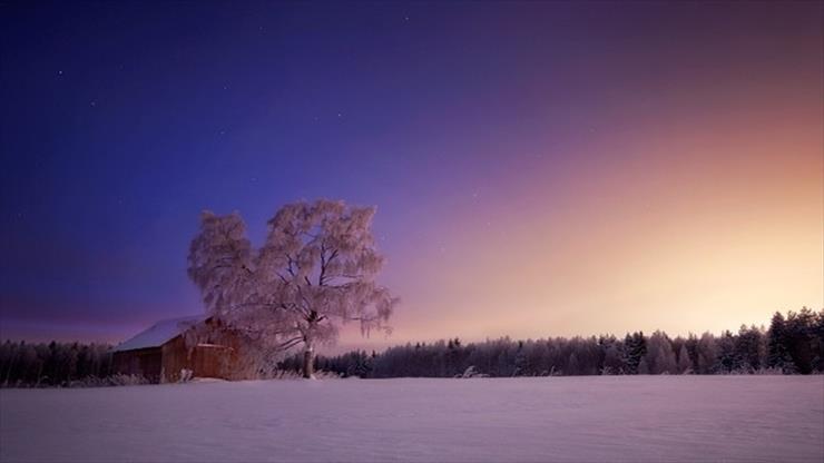 Piękno przyrody zimą - Piękno przyrody zimą 24.jpg