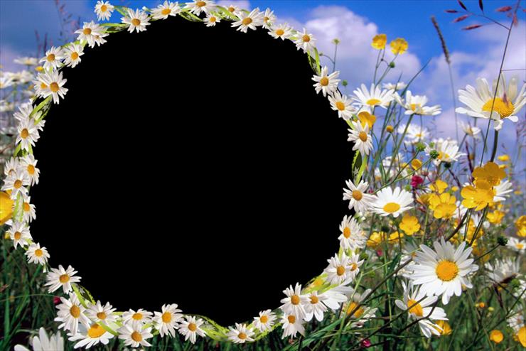 ramki wiosna - Ramki z kwiatami 360 .png