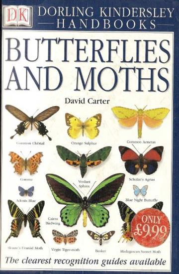 DK Zwierzęta - Butterflies and Moths D. Carter.jpg