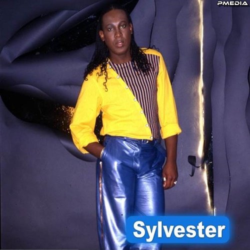 5 - Sylvester.jpg