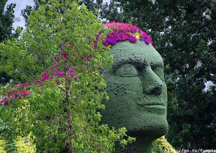 Piękne ogrody - głowa z barwnym nakryciem.jpg