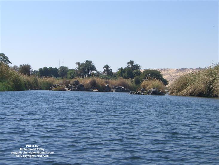Przyroda - Przyroda w Aswan 37.jpg