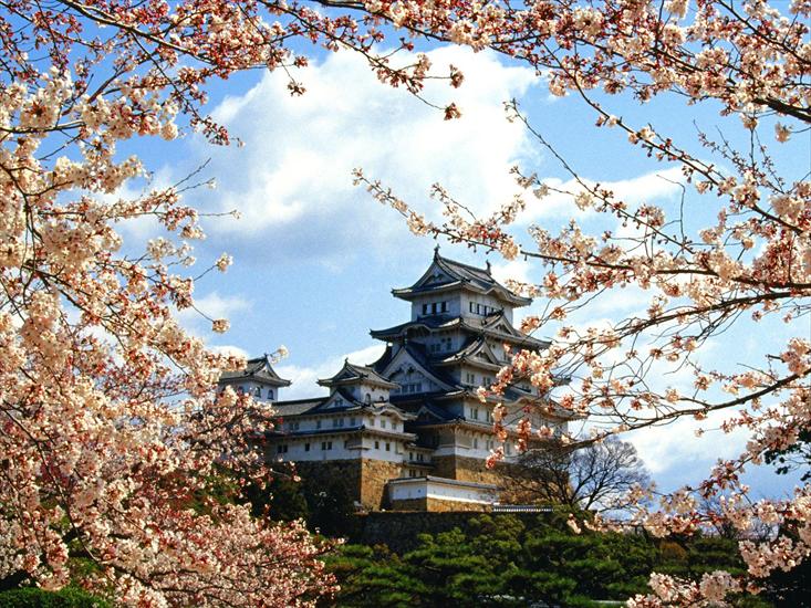 Japonia - Himeji-jo Castle, Himeji, Kinki, Japan.jpg