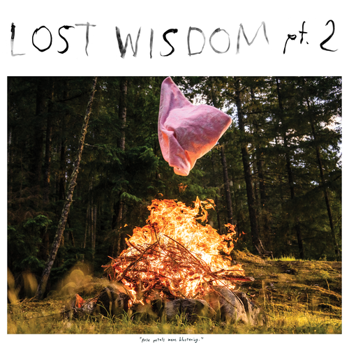 Mount Eerie - Lost Wisdom, Pt. 2 - 2019 - folder.png