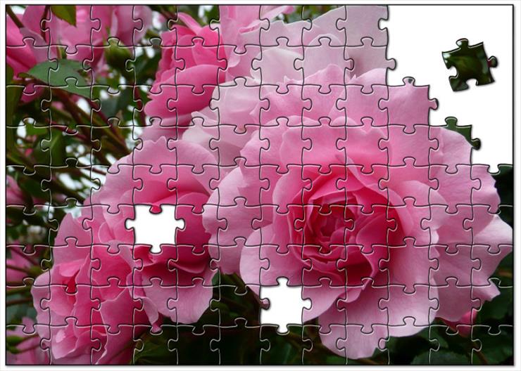 puzle - jigsaw785f9e50287f92c3c59215769529d6daefa8bdee1.jpg